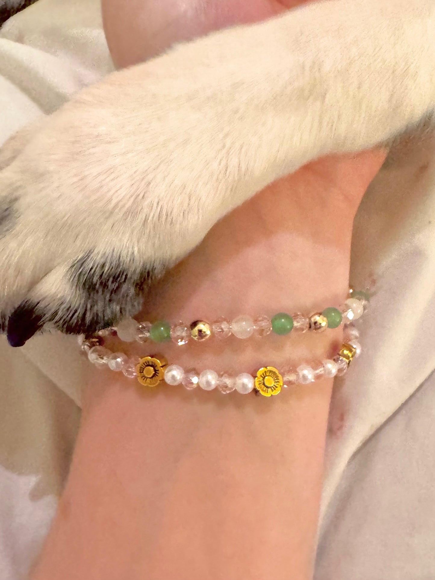 The Blooming Garden of Olivia’s Love